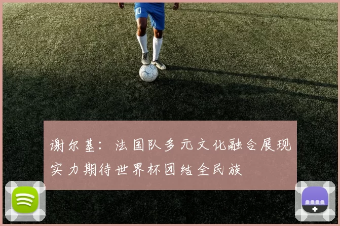 谢尔基：法国队多元文化融合展现实力期待世界杯团结全民族